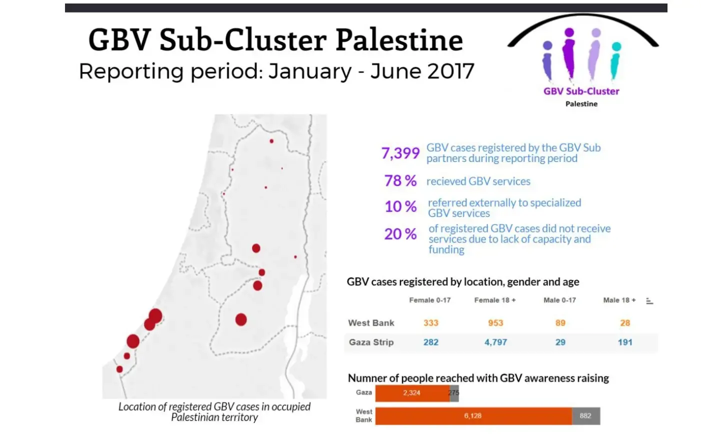 GBV Sub-Cluster: key issues and concerns, key achievements, and key challenges