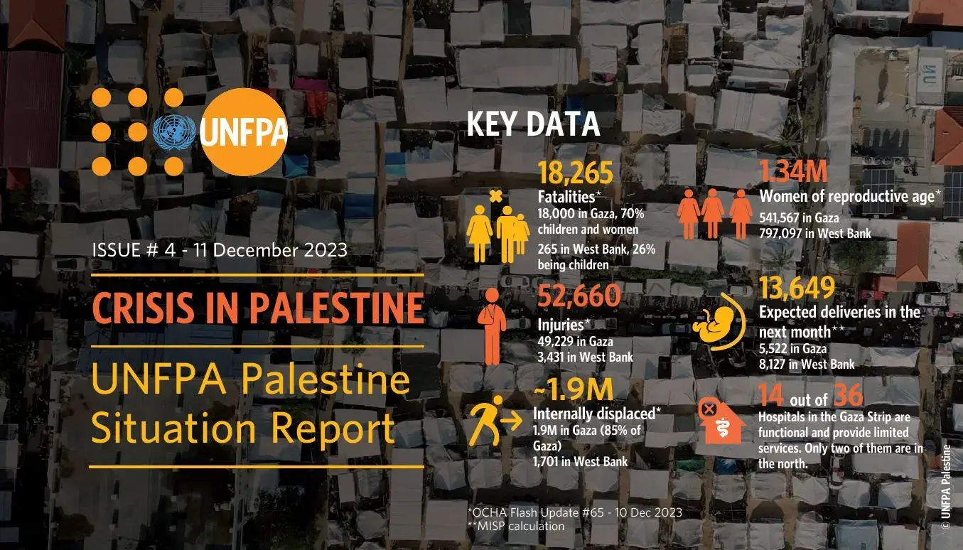 Crisis in Palestine: Situation Report # 4