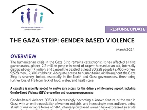 The Gaza Strip: Gender Based Violence - Response Update March 2024