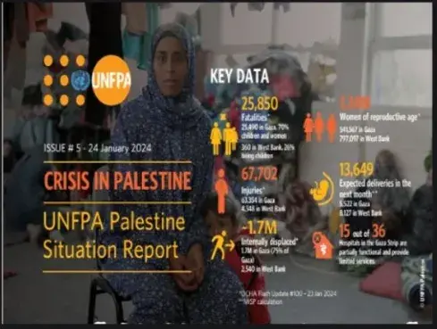 Crisis in Palestine: Situation Report 5