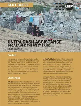 Fact Sheet: UNFPA Cash Assistance in Gaza and the West Bank - November 2024