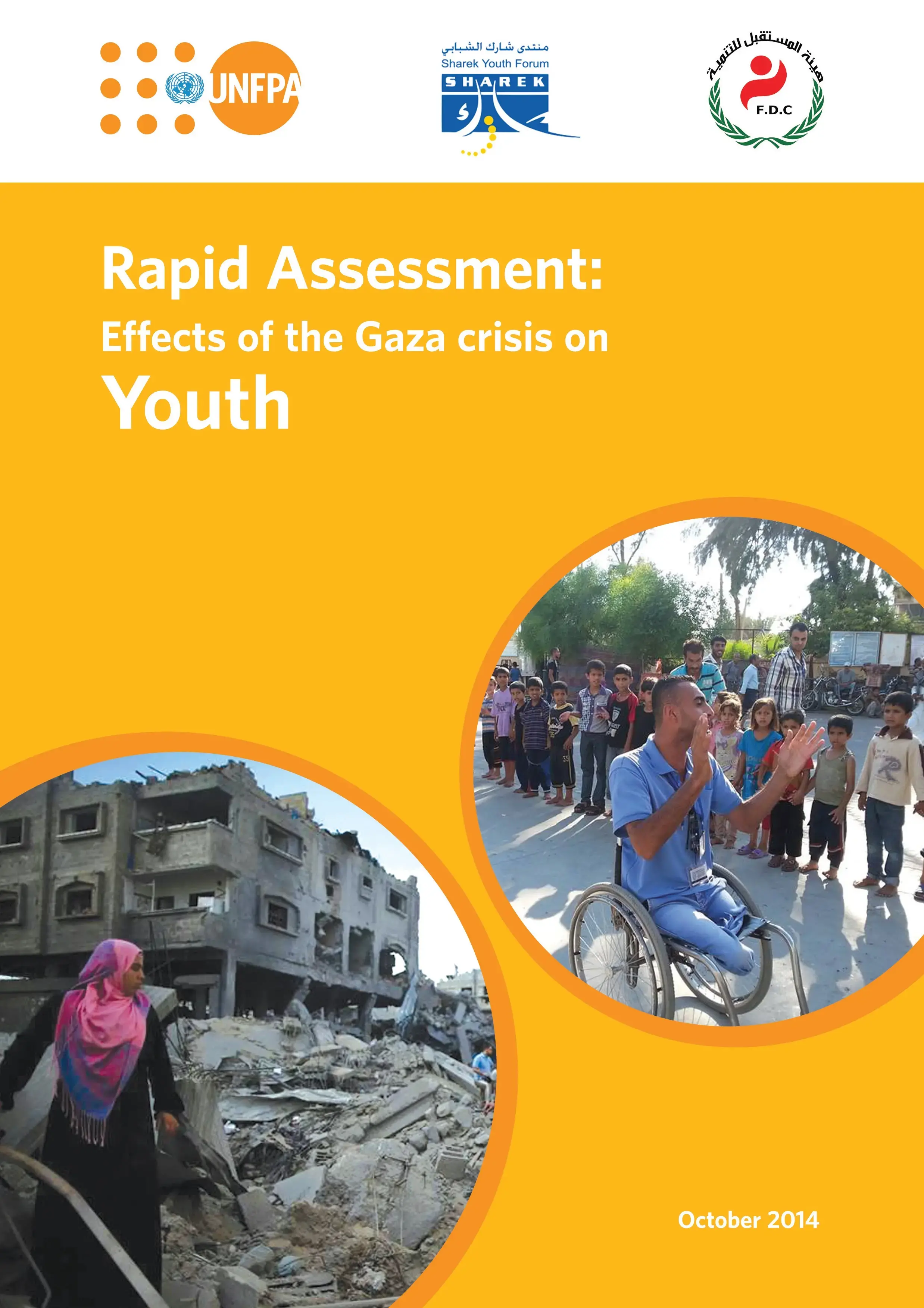 Rapid Assessment: Effects of the Gaza Crisis on Youth