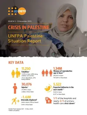 Crisis in Palestine: Situation Report # 3